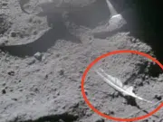 ¿Por qué hay una pluma y un martillo en la Luna? La historia de un experimento de la misión Apolo 15