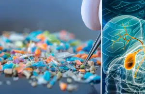 Detectan microplásticos en la bilis humana y alertan sobre un posible ‘reservorio oculto’ en el cuerpo que ingerimos sin saber