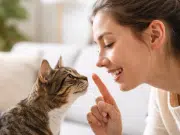 ¿Hablarles como a bebés a los gatos es bueno para ellos? Esto respondió un veterinario: ‘La voz más eficiente que podemos utilizar para comunicarnos’