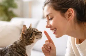 ¿Hablarles como a bebés a los gatos es bueno para ellos? Esto respondió un veterinario: ‘La voz más eficiente que podemos utilizar para comunicarnos’