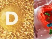 Científicos descubren la conexión entre vitamina D y microbioma intestinal: reequilibrio de la respuesta inmunitaria frente a bacterias intestinales