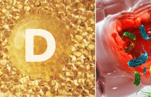 Científicos descubren la conexión entre vitamina D y microbioma intestinal: reequilibrio de la respuesta inmunitaria frente a bacterias intestinales
