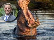 Exministro de Ambiente Carlos Correa defiende eutanasia de hipopótamos y advierte que son ‘una amenaza para la biodiversidad’