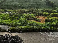 Azpitia: un destino de aventura, naturaleza y pisco en el sur de Lima