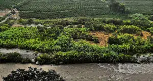 Azpitia: un destino de aventura, naturaleza y pisco en el sur de Lima