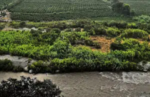 Azpitia: un destino de aventura, naturaleza y pisco en el sur de Lima