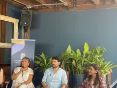 Miembros del Congreso o Parlamento de más de 35 países piden redirigir las finanzas globales para impulsar energías limpias