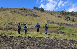 Alerta en Boyacá por cultivos en páramo que afectan el agua en la región