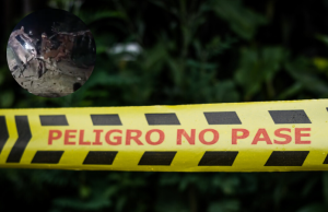 Atentado con carro bomba en Batallón Agustín Codazzi en Palmira