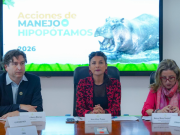 Eutanasia para 80 hipopótamos en Colombia autoriza Gobierno