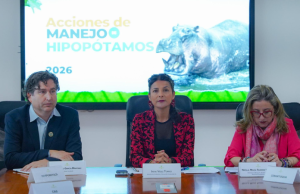 Eutanasia para 80 hipopótamos en Colombia autoriza Gobierno