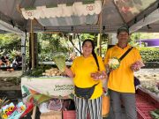 Mañana regresan todos los Mercados Campesinos de El Poblado