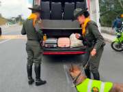 Semana Santa: van 411 capturas por delitos ambientales en el país