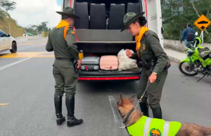Semana Santa: van 411 capturas por delitos ambientales en el país