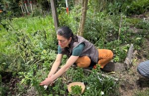 Antioquia impulsa su apuesta agroalimentaria global