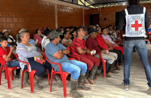 Violencia agrava crisis alimentaria en zonas rurales de Caquetá