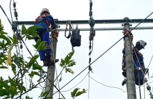 Por afectar costo de energía imponen millonaria multa a Enel