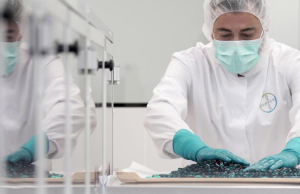 Por sobrecostos sancionan a Bayer S.A. y Comfenalco Quindío