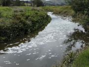 Curtiembres bajo lupa de la CAR para frenar contaminación del río Bogotá