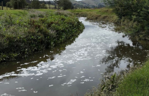 Curtiembres bajo lupa de la CAR para frenar contaminación del río Bogotá