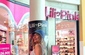 Lili Pink respondió ante las investigaciones por presunto contrabando