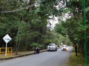 Rutas Vivas en El Explora: un coloquio para repensar la seguridad vial y la vida silvestre en las carreteras