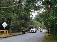 Rutas Vivas en El Explora: un coloquio para repensar la seguridad vial y la vida silvestre en las carreteras
