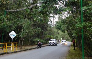 Rutas Vivas en El Explora: un coloquio para repensar la seguridad vial y la vida silvestre en las carreteras