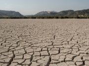 ¿Qué proponen los candidatos presidenciales sobre el cambio climático?
