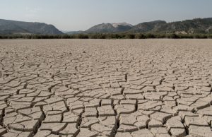 ¿Qué proponen los candidatos presidenciales sobre el cambio climático?