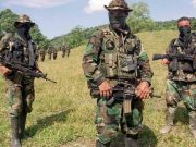 Así está el mapa de los grupos armados ilegales en Colombia