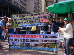 Crecimiento de la economía pierde impulso y está soportada por el gasto público