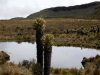 Parque Nacional de los Nevados ordena cierre temporal a turistas: estas son las fechas y las razones