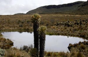 Parque Nacional de los Nevados ordena cierre temporal a turistas: estas son las fechas y las razones