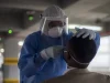 Ébola, hantavirus, sarampión y dengue: ¿el mundo se acerca a una nueva pandemia? Esto advierten expertas en salud pública