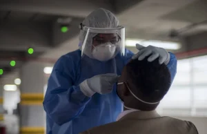 Ébola, hantavirus, sarampión y dengue: ¿el mundo se acerca a una nueva pandemia? Esto advierten expertas en salud pública