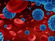 El cáncer que afecta principalmente a adultos mayores y crece en Colombia: a expertos les preocupa el diagnóstico tardío