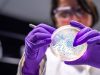 Hallan el punto débil de una de las 15 bacterias más peligrosas para la salud humana, según la OMS