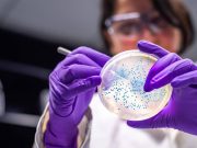 Hallan el punto débil de una de las 15 bacterias más peligrosas para la salud humana, según la OMS