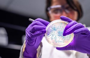 Hallan el punto débil de una de las 15 bacterias más peligrosas para la salud humana, según la OMS