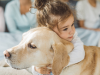 El exceso de emoción de su perro al llegar a casa podría no ser felicidad, según expertos: ¿qué hay detrás?