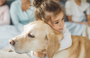 El exceso de emoción de su perro al llegar a casa podría no ser felicidad, según expertos: ¿qué hay detrás?