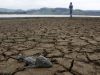 Sequía se agravará en Colombia entre junio y agosto, advierte el Ideam: estas serán las regiones más afectadas