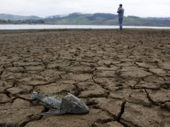 Sequía se agravará en Colombia entre junio y agosto, advierte el Ideam: estas serán las regiones más afectadas