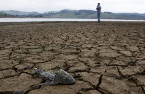 Sequía se agravará en Colombia entre junio y agosto, advierte el Ideam: estas serán las regiones más afectadas