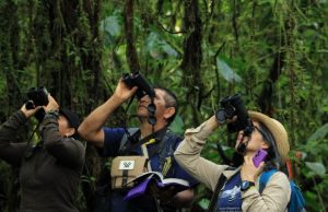 Colombia se proyecta como destino clave de aviturismo en el Global Big Day 2026