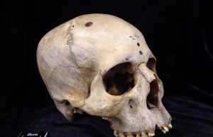Las razones por las que el cráneo humano ha evolucionado en los últimos 100 años: no es por genética