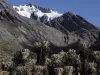 Satélites europeos documentaron la desaparición del glaciar Cerros de la Plaza en El Cocuy
