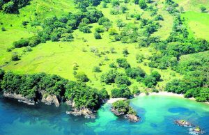 El Caribe chocoano gana nueva área protegida para defender tortugas marinas y manglares en frontera entre Colombia y Panamá