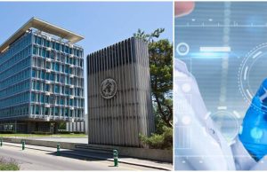 La OMS declara emergencia de salud internacional por epidemia de ébola causada por virus sin vacuna en África